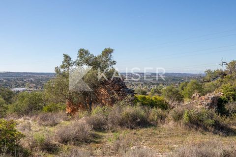 Terra a Tunes, Faro, Tunes - € 350.000 | Ref: KP1312 - foto 5