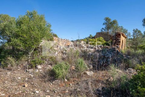 Terra a Tunes, Faro, Tunes - € 350.000 | Ref: KP1312 - foto 6