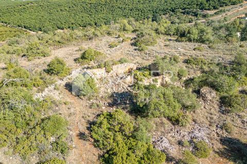 Terra a Tunes, Faro, Tunes - € 350.000 | Ref: KP1312 - foto 7