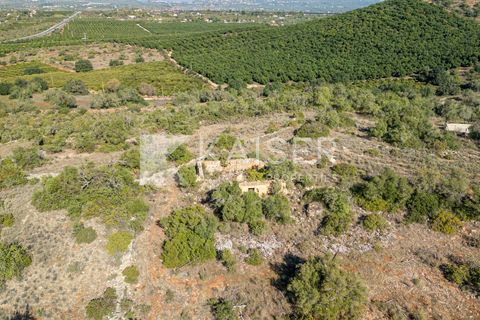 Terra a Tunes, Faro, Tunes - € 350.000 | Ref: KP1312 - foto 8