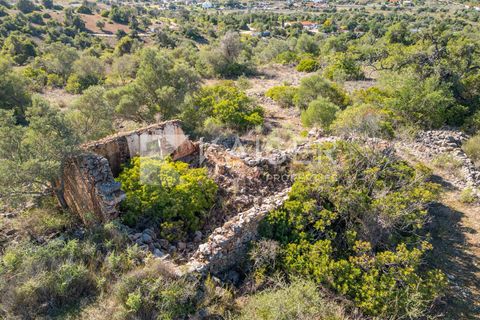 Terra a Tunes, Faro, Tunes - € 350.000 | Ref: KP1312 - foto 10