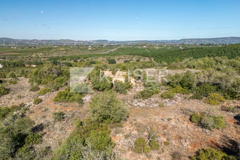 Terra a Tunes, Faro, Tunes - € 350.000 | Ref: KP1312 - foto 11