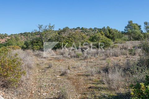Terra a Tunes, Faro, Tunes - € 350.000 | Ref: KP1312 - foto 12