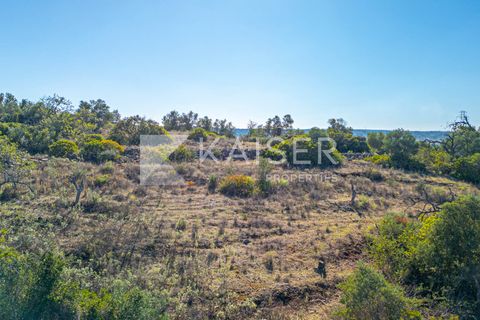 Terra a Tunes, Faro, Tunes - € 350.000 | Ref: KP1312 - foto 13
