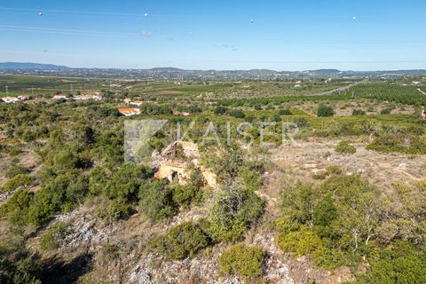 Terra a Tunes, Faro, Tunes - € 350.000 | Ref: KP1312 - foto 14