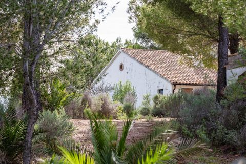 Villa i Benicassim, Castellon, Benicassim - € 2.600.000 | Ref: EJV-1452 - foto 12