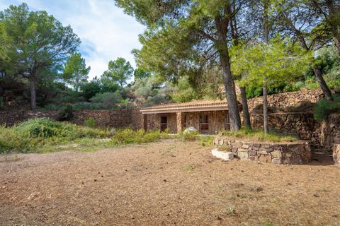 Villa i Benicassim, Castellon, Benicassim - € 2.600.000 | Ref: EJV-1452 - foto 15
