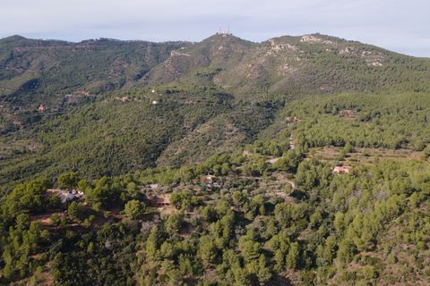 Villa i Benicassim, Castellon, Benicassim - € 2.600.000 | Ref: EJV-1452 - foto 31
