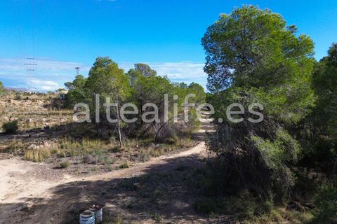 Tomt i Altea, Alicante, Altea - € 90 000 | Ref: 1981 - foto 26