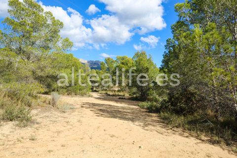Tomt i Altea, Alicante, Altea - € 90 000 | Ref: 1981 - foto 15