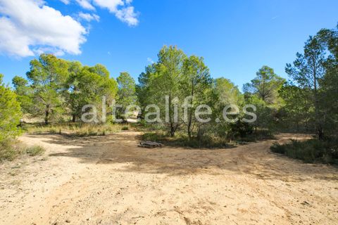 Tomt i Altea, Alicante, Altea - € 90 000 | Ref: 1981 - foto 19