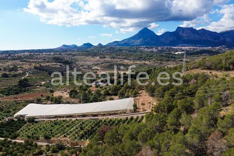 Tomt i Altea, Alicante, Altea - € 90 000 | Ref: 1981 - foto 5