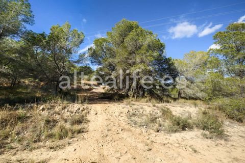 Tomt i Altea, Alicante, Altea - € 90 000 | Ref: 1981 - foto 23
