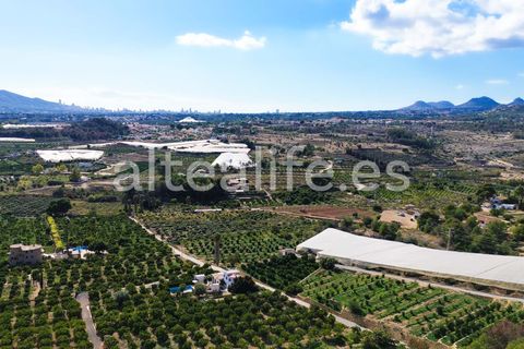 Tomt i Altea, Alicante, Altea - € 90 000 | Ref: 1981 - foto 2