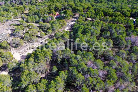 Tomt i Altea, Alicante, Altea - € 90 000 | Ref: 1981 - foto 10