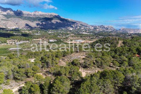 Tomt i Altea, Alicante, Altea - € 90 000 | Ref: 1981 - foto 13