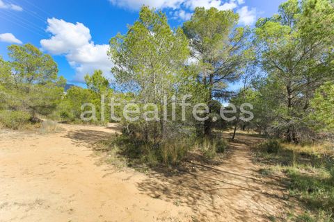 Tomt i Altea, Alicante, Altea - € 90 000 | Ref: 1981 - foto 21