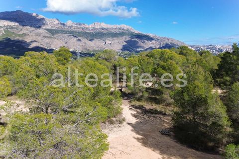 Tomt i Altea, Alicante, Altea - € 90 000 | Ref: 1981 - foto 14
