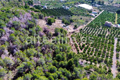 Tomt i Altea, Alicante, Altea - € 90 000 | Ref: 1981 - foto 17