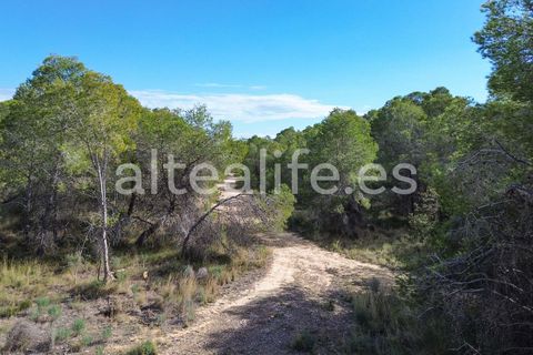 Tomt i Altea, Alicante, Altea - € 90 000 | Ref: 1981 - foto 22