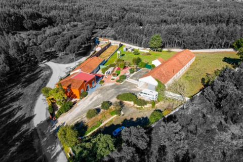 Villa i Rio Maior, Santarem, Rio Maior - € 460.000 | Ref: RV2953 - foto 8