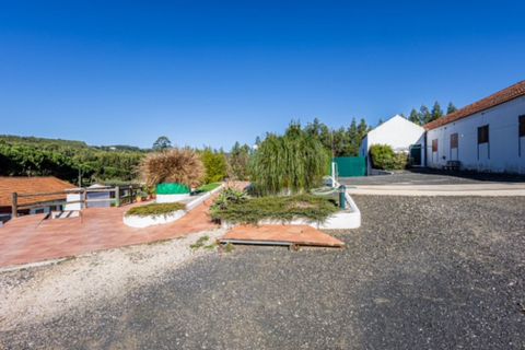 Villa i Rio Maior, Santarem, Rio Maior - € 460.000 | Ref: RV2953 - foto 27