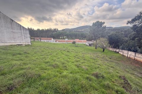 Villa i Rio Maior, Santarem, Rio Maior - € 460.000 | Ref: RV2953 - foto 38