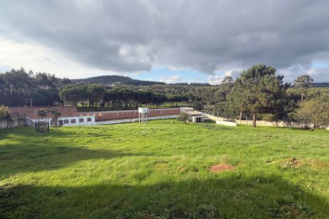 Villa i Rio Maior, Santarem, Rio Maior - € 460.000 | Ref: RV2953 - foto 4