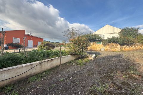 Villa i Rio Maior, Santarem, Rio Maior - € 460.000 | Ref: RV2953 - foto 33