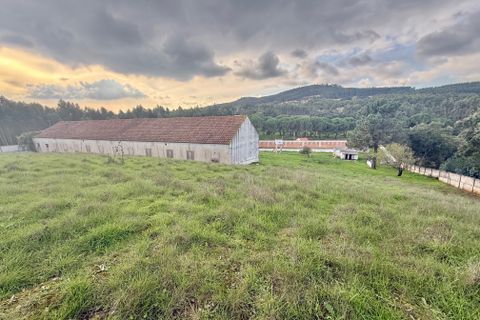 Villa i Rio Maior, Santarem, Rio Maior - € 460.000 | Ref: RV2953 - foto 37