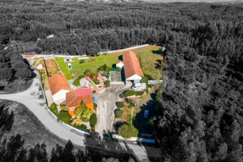 Villa i Rio Maior, Santarem, Rio Maior - € 460.000 | Ref: RV2953 - foto 11