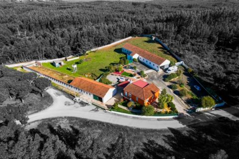 Villa i Rio Maior, Santarem, Rio Maior - € 460.000 | Ref: RV2953 - foto 7