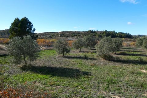 Finca i Fabara, Zaragoza, Fabara - € 29.000 | Ref: 1080 - foto 11
