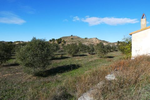 Finca i Fabara, Zaragoza, Fabara - € 29.000 | Ref: 1080 - foto 18