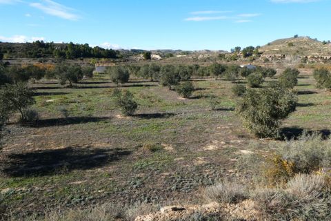 Finca i Fabara, Zaragoza, Fabara - € 29.000 | Ref: 1080 - foto 26
