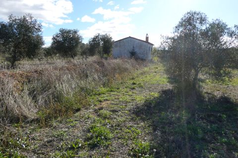 Finca i Fabara, Zaragoza, Fabara - € 29.000 | Ref: 1080 - foto 27