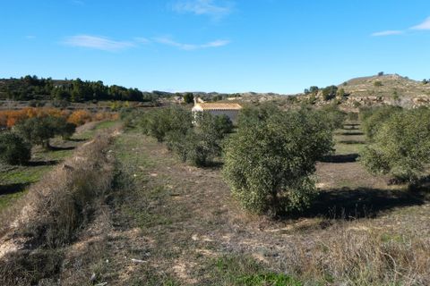 Finca i Fabara, Zaragoza, Fabara - € 29.000 | Ref: 1080 - foto 22