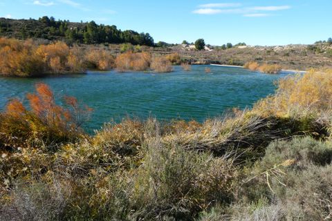 Finca i Fabara, Zaragoza, Fabara - € 29.000 | Ref: 1080 - foto 30