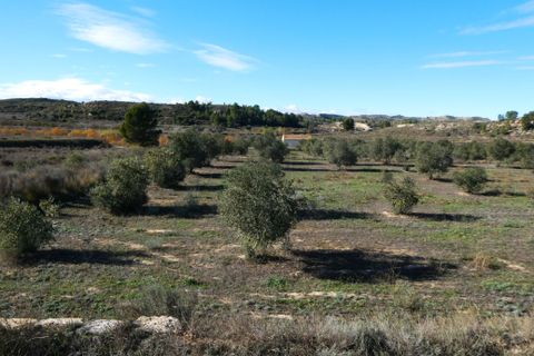 Finca i Fabara, Zaragoza, Fabara - € 29.000 | Ref: 1080 - foto 25