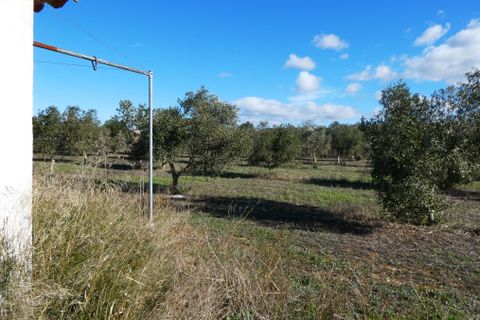 Finca i Fabara, Zaragoza, Fabara - € 29.000 | Ref: 1080 - foto 13