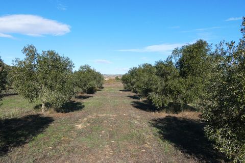 Finca i Fabara, Zaragoza, Fabara - € 29.000 | Ref: 1080 - foto 20
