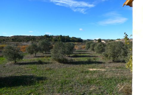 Finca i Fabara, Zaragoza, Fabara - € 29.000 | Ref: 1080 - foto 10
