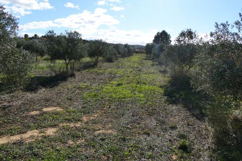 Finca i Fabara, Zaragoza, Fabara - € 29.000 | Ref: 1080 - foto 28