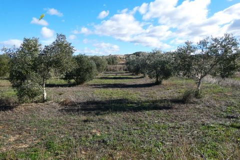 Finca i Fabara, Zaragoza, Fabara - € 29.000 | Ref: 1080 - foto 14