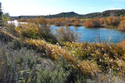 Finca i Fabara, Zaragoza, Fabara - € 29.000 | Ref: 1080 - foto 29