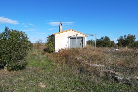 Finca i Fabara, Zaragoza, Fabara - € 29.000 | Ref: 1080 - foto 19