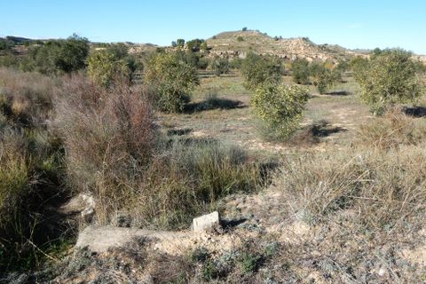 Finca i Fabara, Zaragoza, Fabara - € 29.000 | Ref: 1080 - foto 24