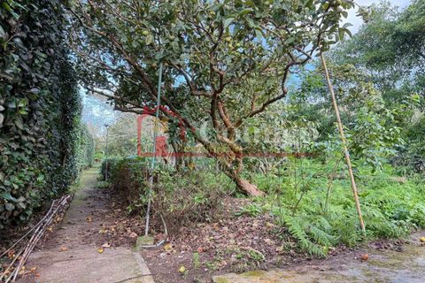 Villa a Ginetes, Sao Miguel, Ginetes - € 429.000 | Ref: 220902019-5/13100 - foto 9