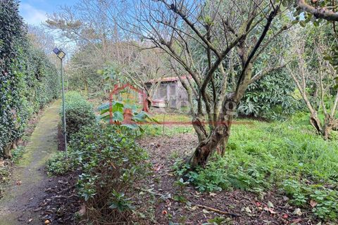 Villa a Ginetes, Sao Miguel, Ginetes - € 429.000 | Ref: 220902019-5/13100 - foto 11