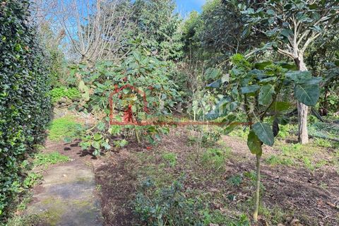 Villa a Ginetes, Sao Miguel, Ginetes - € 429.000 | Ref: 220902019-5/13100 - foto 13